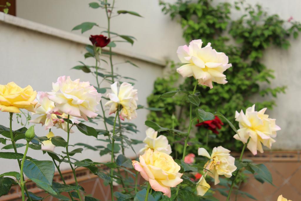 Apartamento Jardin De La Ribera. コルドバ エクステリア 写真