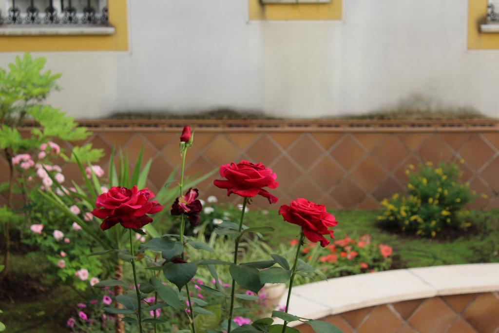 Apartamento Jardin De La Ribera. コルドバ エクステリア 写真